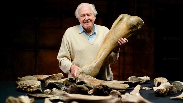 Attenborough and the Giant Mammoth