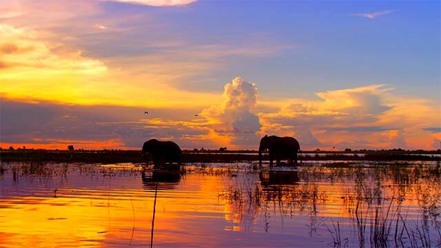 Botswana—Africa’s Last Wildlife Paradise