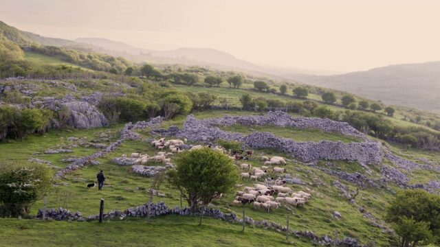 The Burren: Heart of Stone