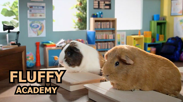Fluffy Academy