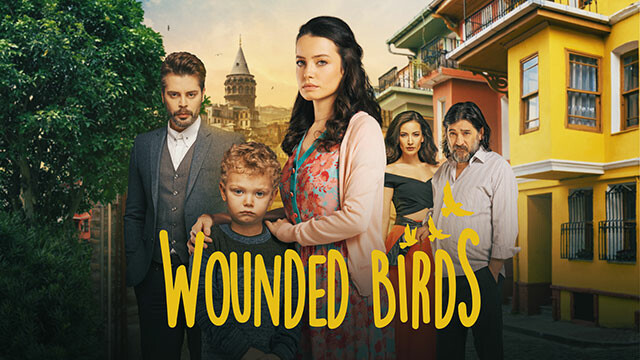Wounded Birds